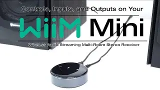 Inputs, Outputs, Controls, and Functions on WiiM Mini Wifi Music Player Wireless  Receiver Explained