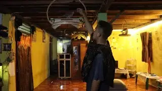 cara rutin untuk meningkatkan birahi penjinakan burung tekukur, #tekukur #tekukurindonesia