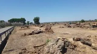 Torrepaduli - Ruffano