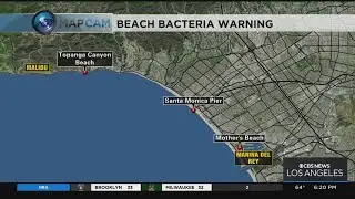 Officials Warn Against Swimming in Certain Beaches Due to High Levels of Bacteria