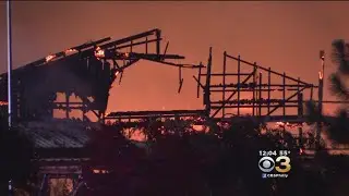 Overnight Fire Reduces Wiley Farms To Rubble