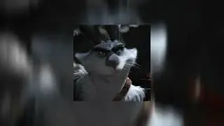Bunnymund Kinnie Playlist | Rise Of The Guardians