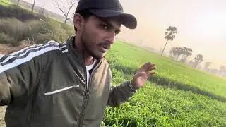 #newvlog #ytshort #trending #vlogger #vlogging #farming #dasi #farmerlife .. like and Share please 🙏