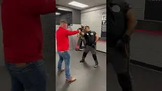 Gun Disarm
