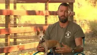 Dog rescue ranch