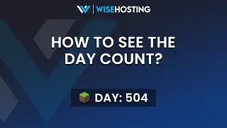 How To See the Day Count in Your Minecraft Server