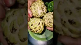 What you call this juicy FRUIT in ur area?🤔 #custardapple #sitaphal #sugarapple #cherimoya #sharifa