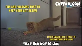Fun and Engaging Cat Toys to Keep Your Cats Active and Healthy