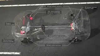 Animation: Audi RS 3 &ndash; RS torque splitter