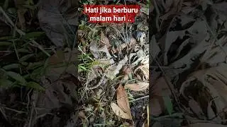 Berburu malam hari nemunya ular‼️ #berburu #petualangan #trip #malamjumat #ular #viral #shorts #fyp