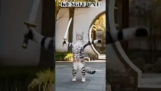 AKA Kungfu Cat