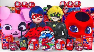 Miraculous Ladybug Toys Collection ASMR Unboxing Review | Mystery Cat Noir & Ladybug Surprise Boxes