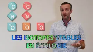Les isotopes stables en écologie