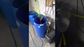 GrowShow My Facility! Roots On Clones. Floraflex Gavita