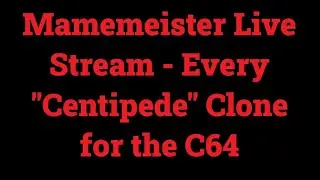 Mamemeister Live Stream - Every 