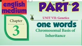 12th bio botany lesson 3| one words (part 2) | english  medium | chromosomal basis of inheritance