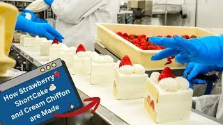 How strawberry shortcake and cream chiffon are made. [Ginza Cozy Corner]