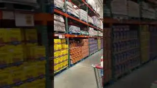 Buy before it&rsquo;s gone/Toilet paper/Insane supply/Costco