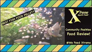 Xtreme Fish Food Review! - Community Peewee (Best fish food??)