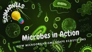 Microbes in Action: How Microorganisms Shape Ecosystems
