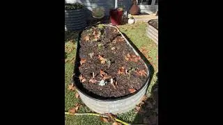 Henley's Rustics- My Autumn Veggie Patch