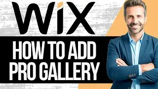 How to Add Wix Pro Gallery to Wix Website