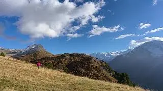 Alp  Languard