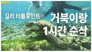 길리에서 거북이랑 1시간 동안 노는 법｜길리 트라왕안 Day12