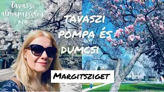 Tavasz az ő teljes pompájában (én már kevésbé😊) | tavaszi 🌸 almapapivlog #74