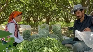 Rural Lifestyle in Iran | Daily Life of Iranian Girls in the Village