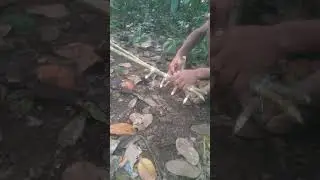 How to Make Animal Trap Quick Tutorial Simple Steps to Success💥