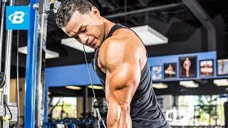 Ultimate Shoulders & Triceps Blast | Steven Lopez