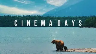 Berry for Bears - Cinema Days (Lyric Video)