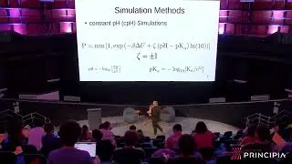 Yan Levin-Theory and Simulations of Charge Regulation of Colloidal Particles in Eletrolyte Solutions