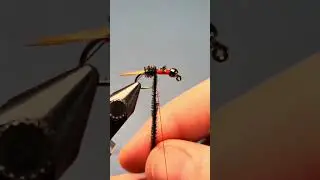SOFT HACKLE PEACOCK NYMPH! How To Tie a Soft-Hackled Peacock Nymph with a Hotspot 