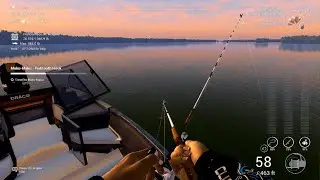 UNIQUE STRIPED BASS!!!! Hotspot at Blu Crab