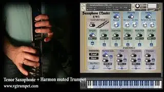 Saxophone Master EWI for Kontakt. Tenor Sax and Harmon muted Trumpet