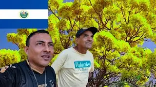 Todo Ha Cambiado En El Salvador 🇸🇻
