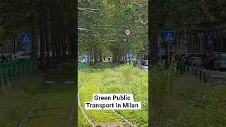 Экологичный общественный транспорт в Милане и Манчестере