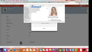 How to Create an Email Signature in Hilo
