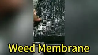 PP Plastic Weed Membrane for Growers #weedcontrol #landscapefabric #weedbarrier #weedmembrane