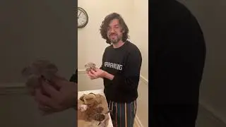 Planting Succulents: A Fun Gift Exchange Gone Wrong!#succulents #giftfail #funny