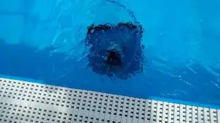 Smart Pool Scrubber 60