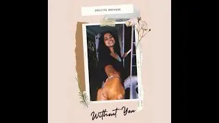 Infected Brothers - Without you (Lyric Video)