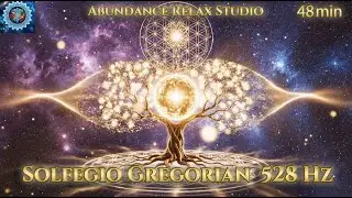 Solfeggio Gregorian 528Hz | Heart Calm Ambience | 48 MIN | Deep Meditation