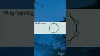 Network topology 