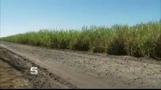 Nuevo Acuerdo Comercial de Azucar entre EUA y Mexico