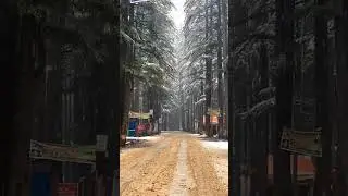 Beautiful view of Usho Forest after Live Snowfall  #kalamvalley #ushuforest #pakistan @Afffa_Becutetv