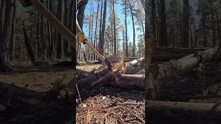 Satisfying Axe Cut in Slow Motion #bushcraft #outdoors