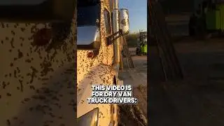 Have you ever tried hauling bees as a truck driver on your step deck trailer? #trucker #trucking